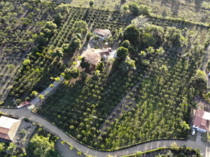 Lotes à Venda em Vila do Benfica Santo Antônio de Jesus, BA